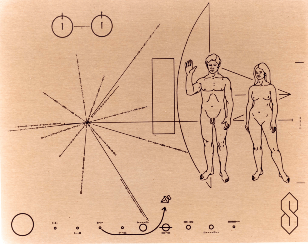 The Pioneer plaque, but there is a "Cool S" added to the bottom right corner